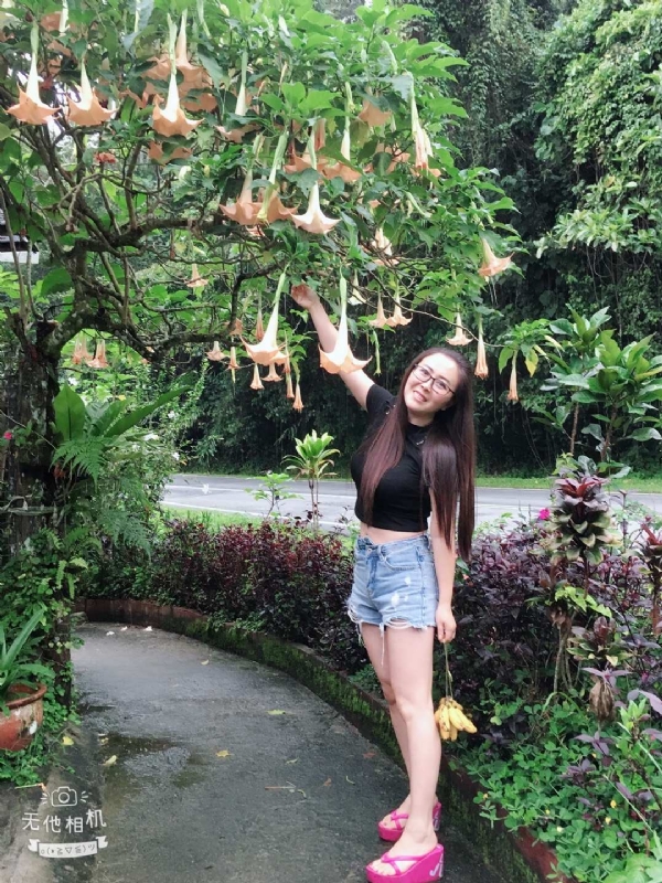 离异单身无子的第二张照片--广州相亲服务中心