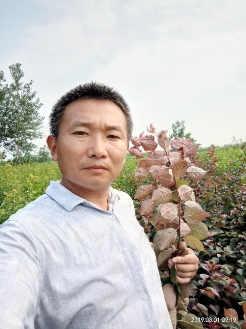 孩子爸的第一张照片--广州相亲服务中心