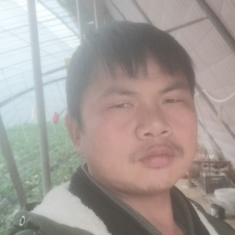 孤狼‘的第一张照片--广州相亲服务中心