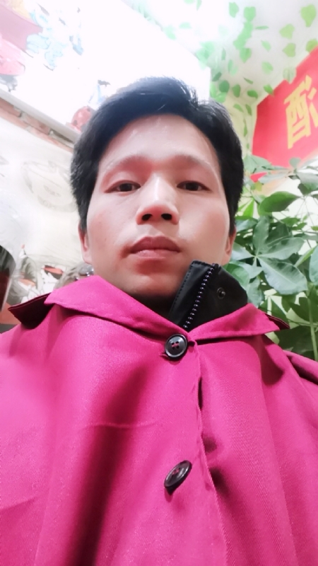 单身的林凡的第一张照片--广州相亲服务中心