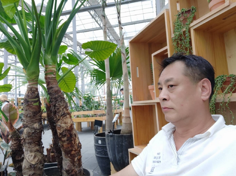 davidxy669988的第一张照片--广州相亲服务中心