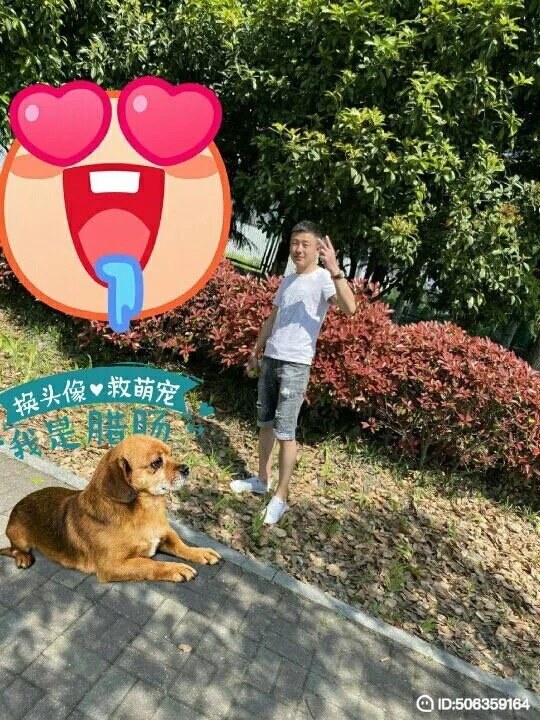 我若不坚强谁替我勇敢的第五张照片--广州相亲服务中心