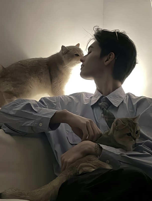 怪猫的第一张照片--广州相亲服务中心