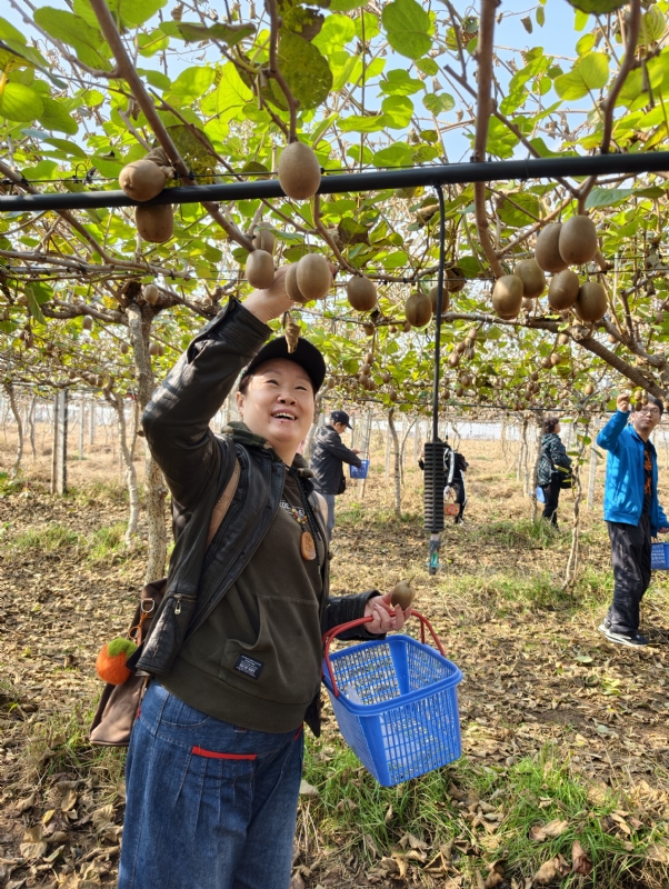 夜莺的第四张照片--广州相亲服务中心